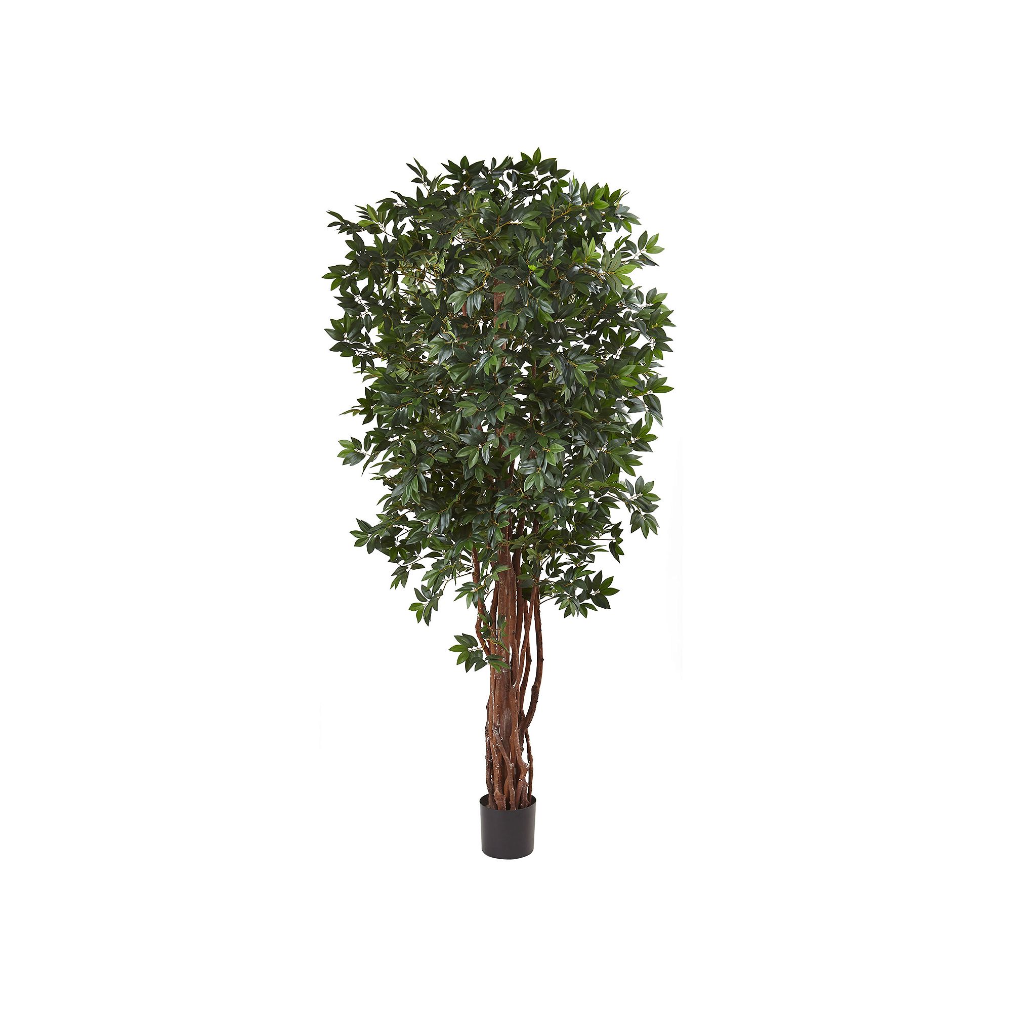nearly natural Lychee Silk Tree, Green