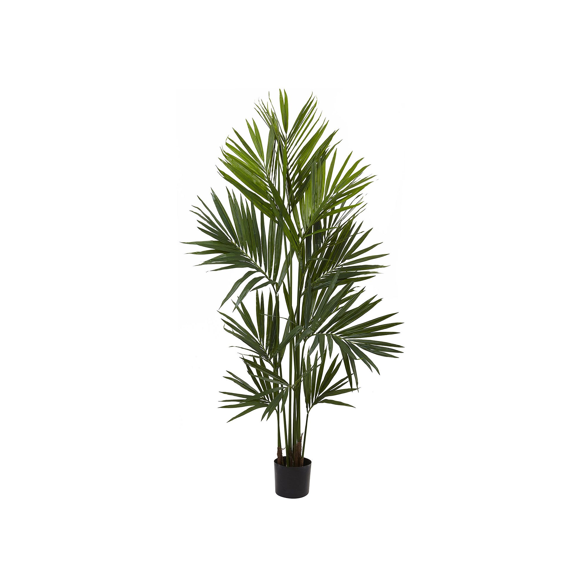 nearly natural Kentia Palm Silk Tree, Green