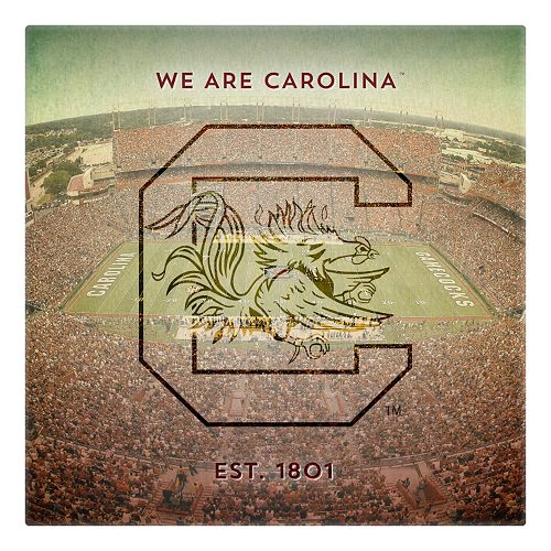 South Carolina Gamecocks Stadium Canvas Wall Art