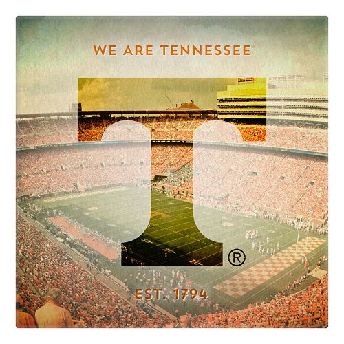 Tennessee Volunteers Stadium Canvas Wall Art