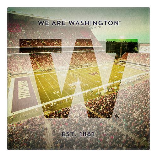 Washington Huskies Stadium Canvas Wall Art