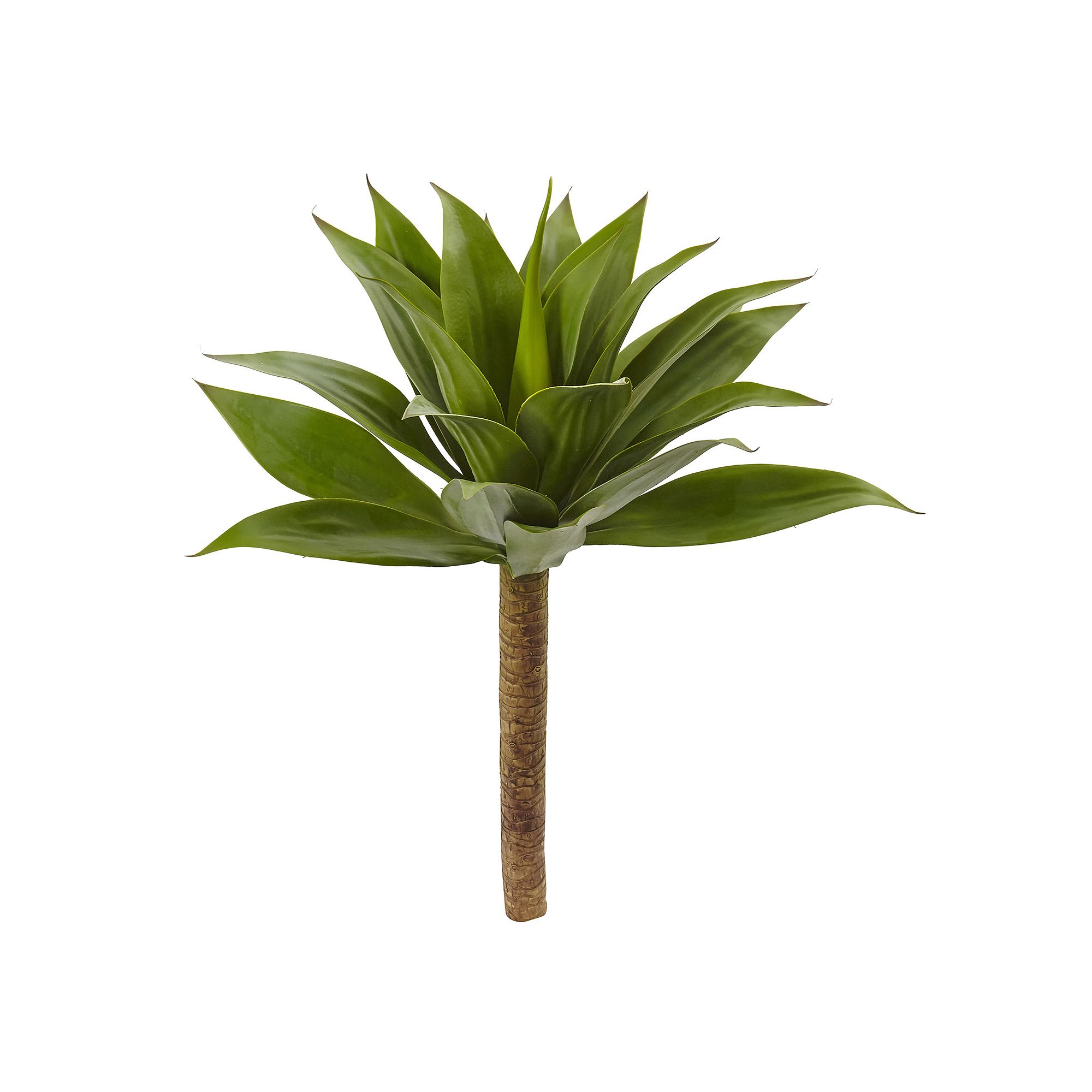 nearly natural Artificial Agave Plant, Green