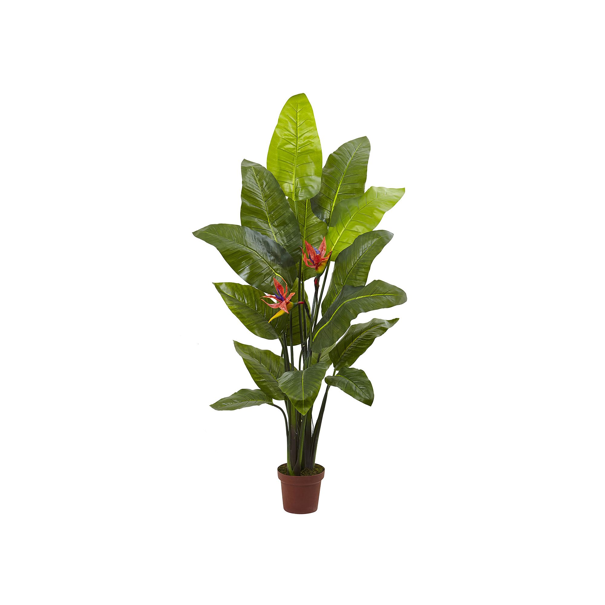 nearly natural Artificial Bird of Paradise Plant, Green