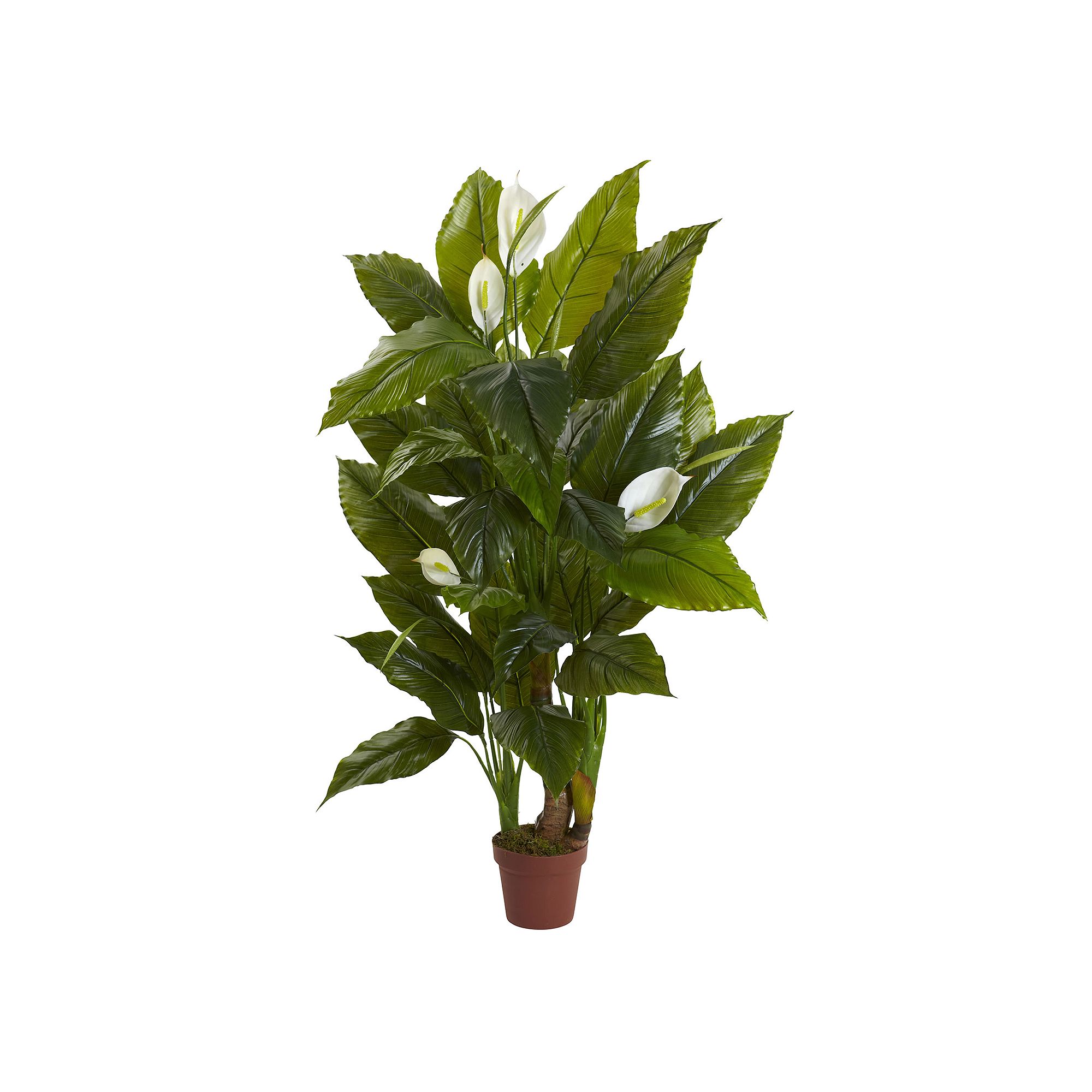 nearly natural Artificial Spathyfillum Plant, Green
