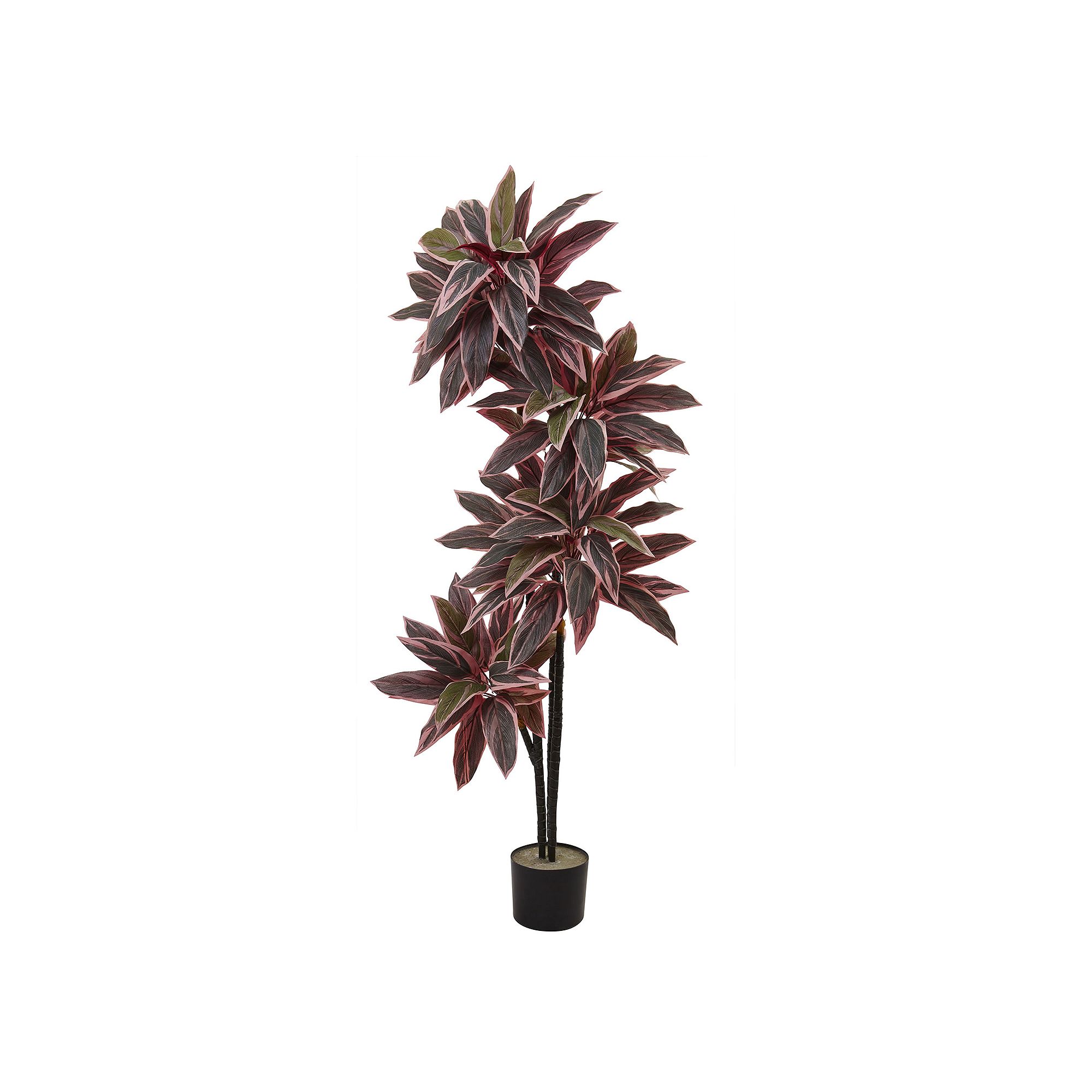 nearly natural Artificial Caladium Plant, Green