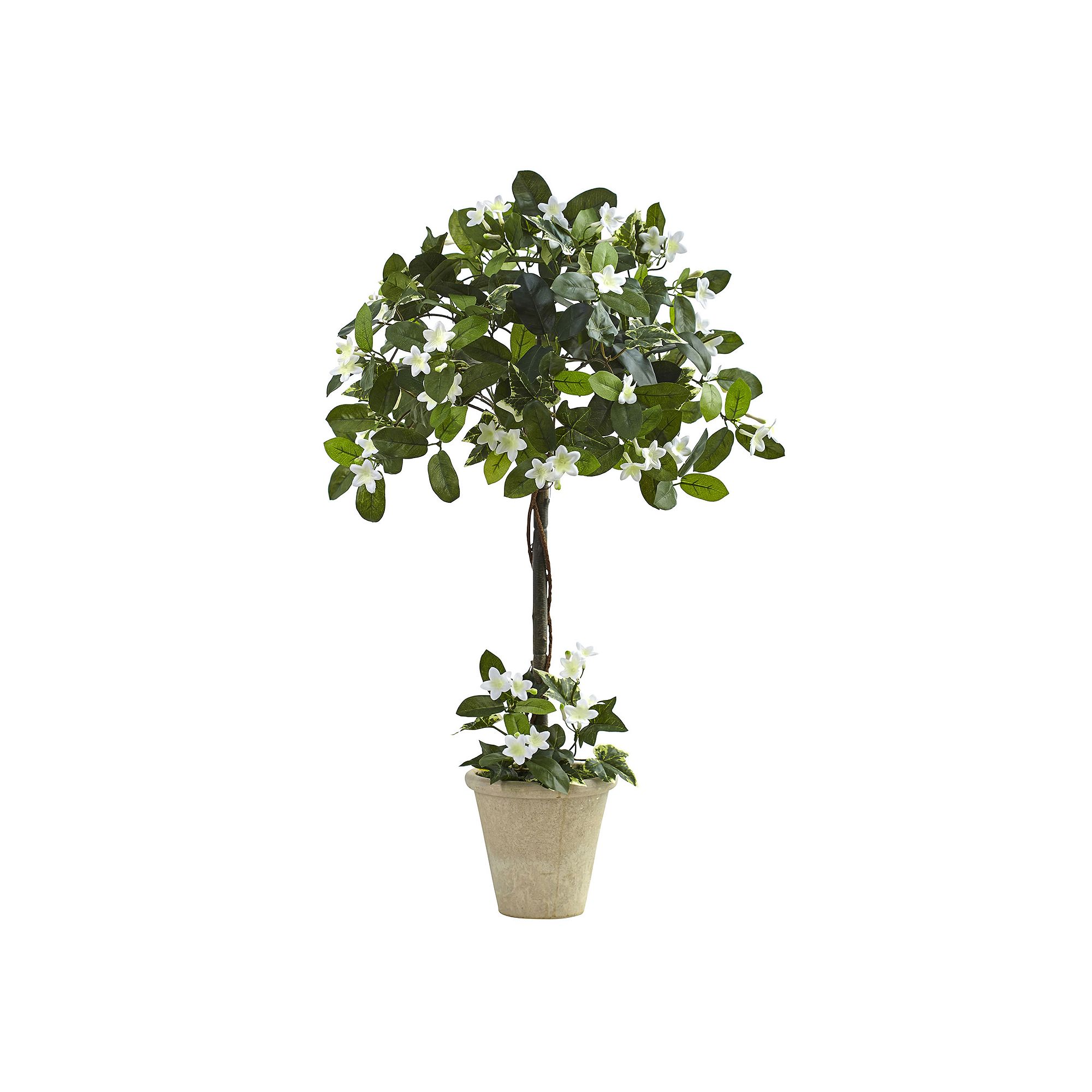 nearly natural Artificial Stephanotis Topiary, Green