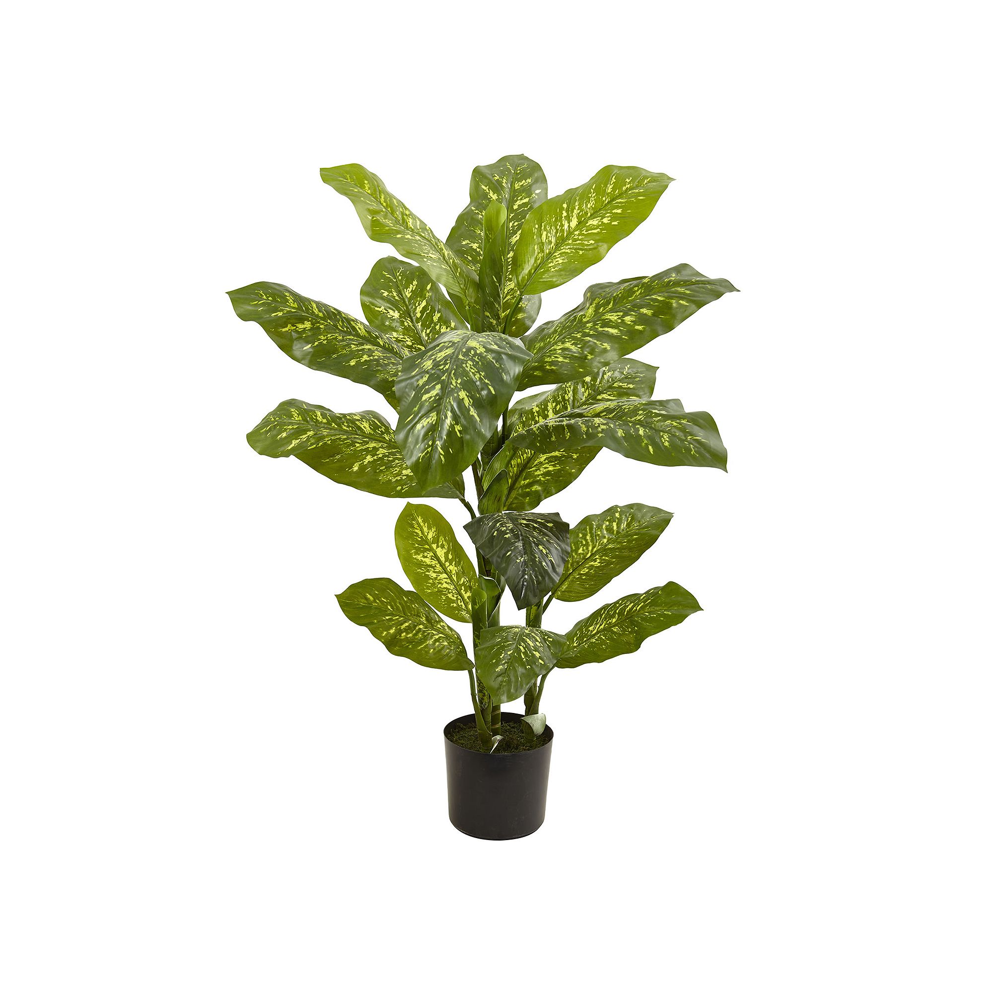 nearly natural Artificial Dieffenbachia Plant, Green