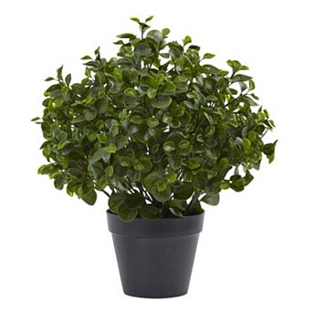 nearly natural Artificial 23 in Indoor / Outdoor Peperomia Plant