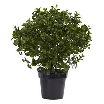 nearly natural Artificial 28 in Indoor / Outdoor Peperomia Plant