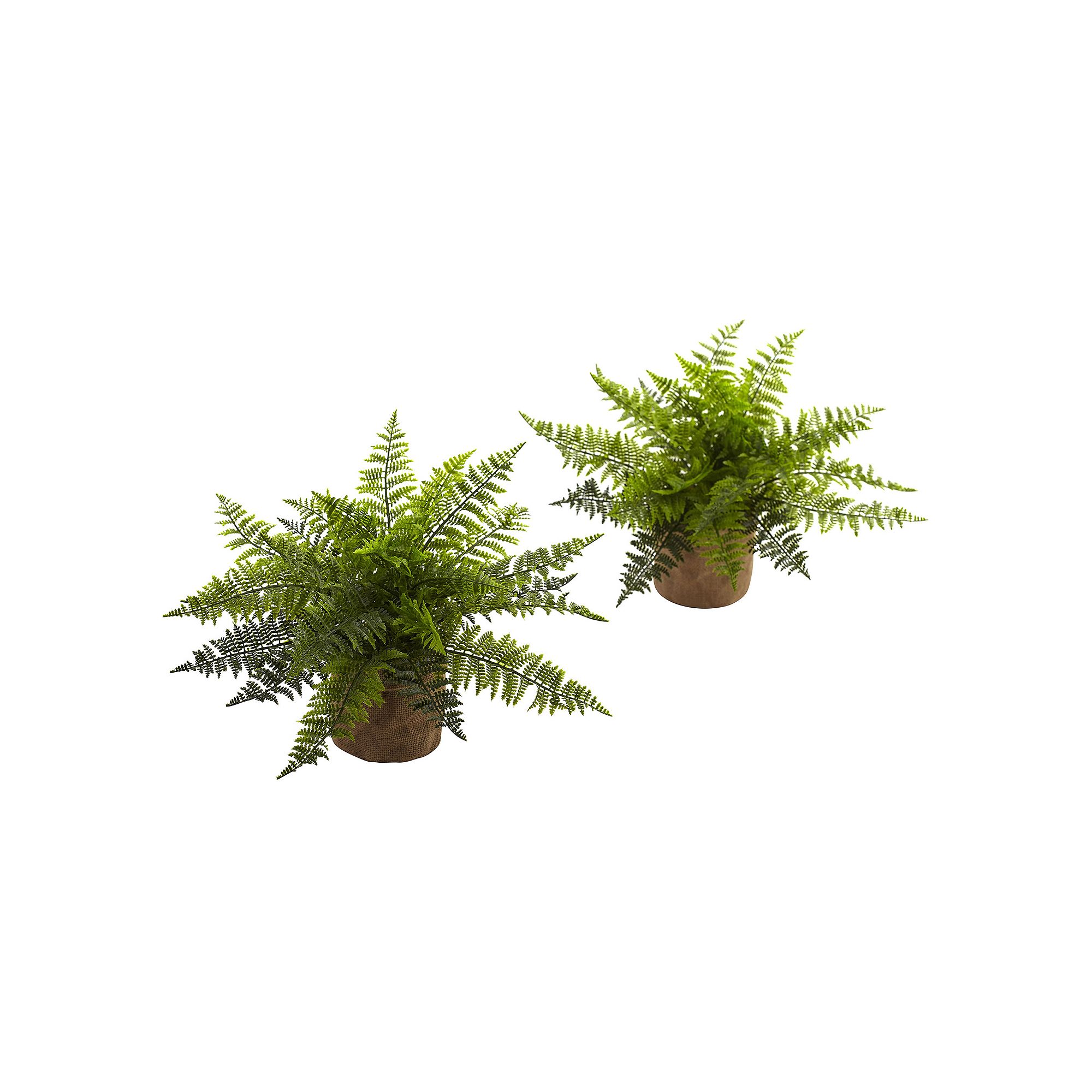 nearly natural Artificial Ruffle Fern Plant 2-piece Set, Green