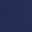 New Navy