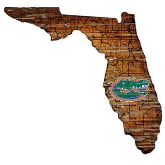 Florida Gators Distressed 24" x 24" State Wall Art