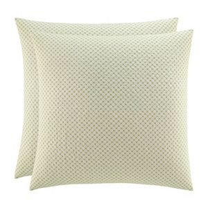 Laura Ashley Lifestyles 2 Pc Amberley Euro Sham Set