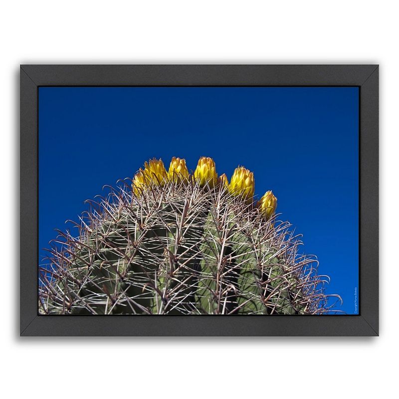 76340056 Americanflat Barrel Cactus Framed Wall Art, Multic sku 76340056