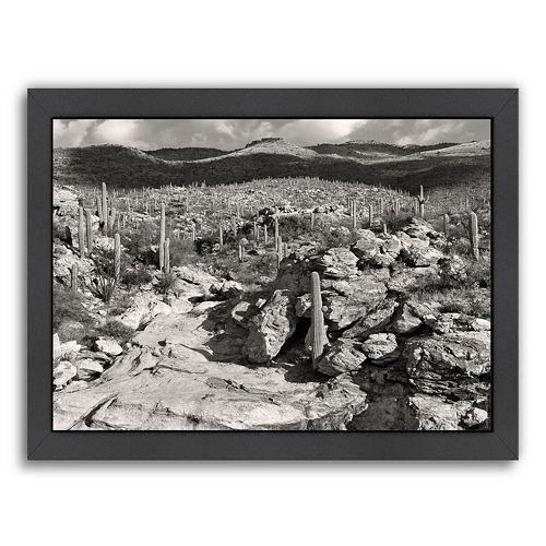 Americanflat ''Morning Desert Vista'' Framed Wall Art