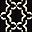 Black Ivory