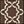 Chocolate Ivory