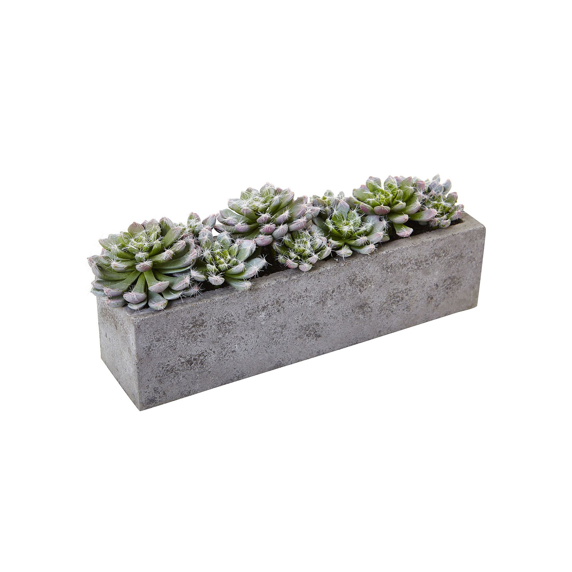 nearly natural Artificial Succulent Planter Arrangement, Green Purple