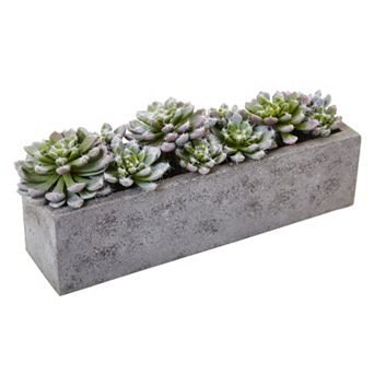 nearly natural Artificial Succulent Planter Arrangement