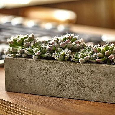 nearly natural Artificial Succulent Planter Arrangement