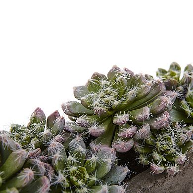 nearly natural Artificial Succulent Planter Arrangement