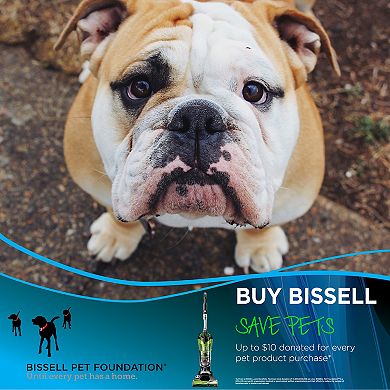 BISSELL Pet Hair Eraser Bagless Upright Vacuum (1650)