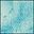 Turquoise Ivory