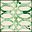 Ivory Green