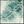 Green Ivory