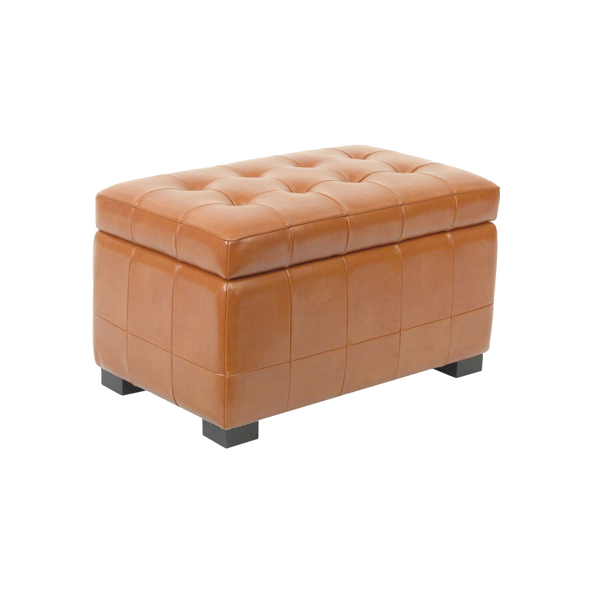 Safavieh Manhattan Storage Bench, Saddle