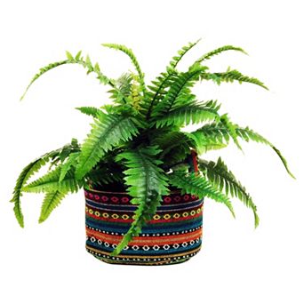 Designs by Lauren Artificial Fern Plant