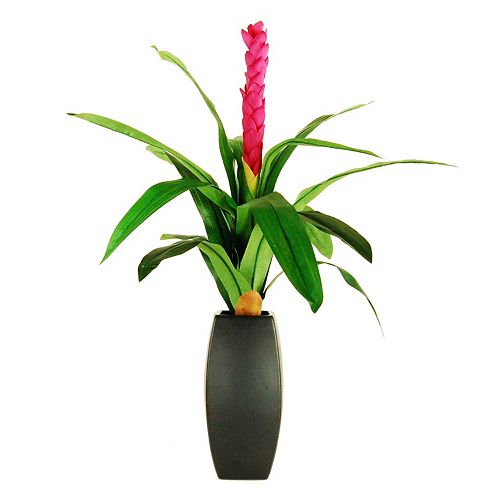 Designs by Lauren Artificial Ginger Torch Plant