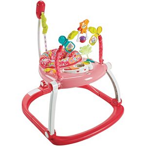 Fisher-Price Floral Confetti SpaceSaver Jumperoo
