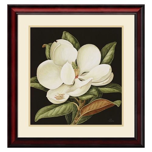 Amanti Art Magnolia Grandiflora Framed Wall Art