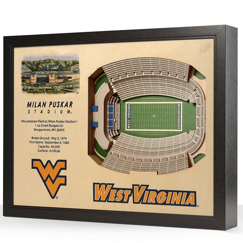 West Virginia Mountaineers StadiumViews 3D Wall Art, Multicolor