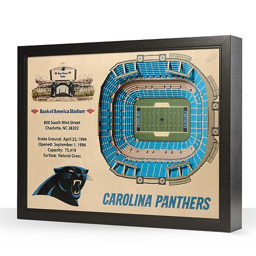 Carolina Panthers StadiumViews 3D Wall Art