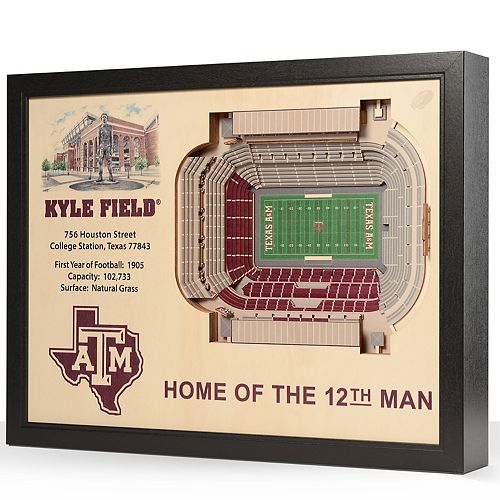 Texas A&M Aggies StadiumViews 3D Wall Art