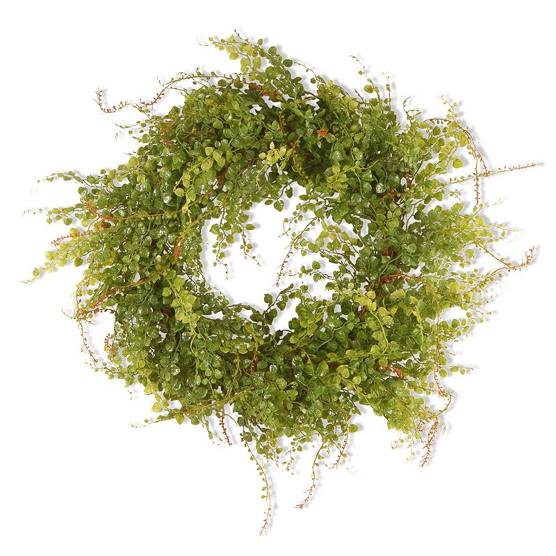 National Tree Company 22 Garden Accents Artificial Boxwood Berry Wreath,