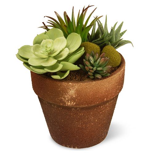 National Tree Company 10″ Garden Accents Artificial Succulent Plant