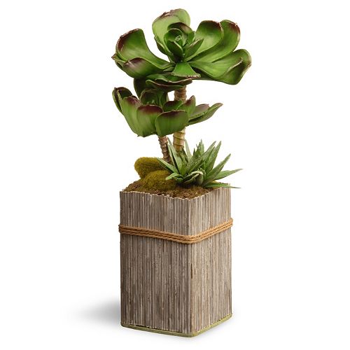 National Tree Company 6" Garden Accents Artificial Succulent Plant