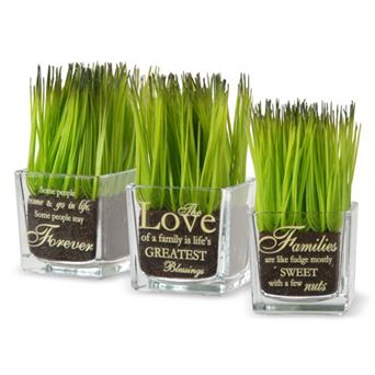 National Tree Company "Forever, Love, Families" Artificial Sprout Glass Vase 3 pc Set