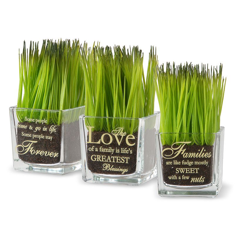 National Tree Company Forever, Love, Families Artificial Sprout Glass 