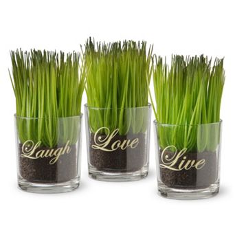 National Tree Company "Live, Laugh, Love" Artificial Sprout Glass Vase 3 pc Set