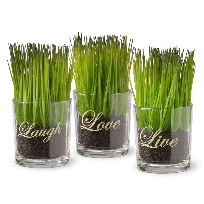 National Tree Company Live, Laugh, Love Artificial Sprout Glass Vase 3