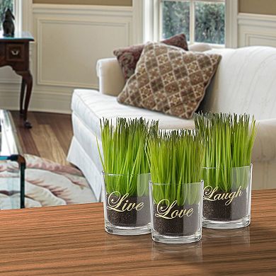 National Tree Company "Live, Laugh, Love" Artificial Sprout Glass Vase 3-piece Set