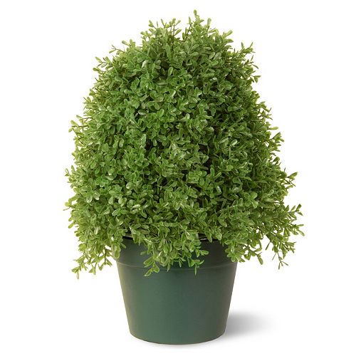 National Tree Company 15 Artificial Boxwood Tree