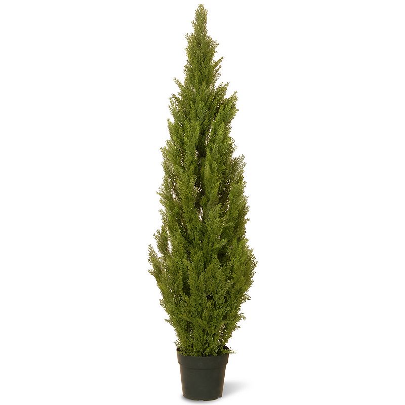 National Tree Company 60 Artificial Arborvitae Tree, Green, Floral