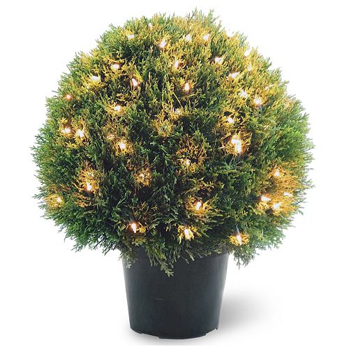 National Tree Company Pre-Lit 24″ Artificial Cedar Bush Plant