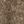 Smoke Beige
