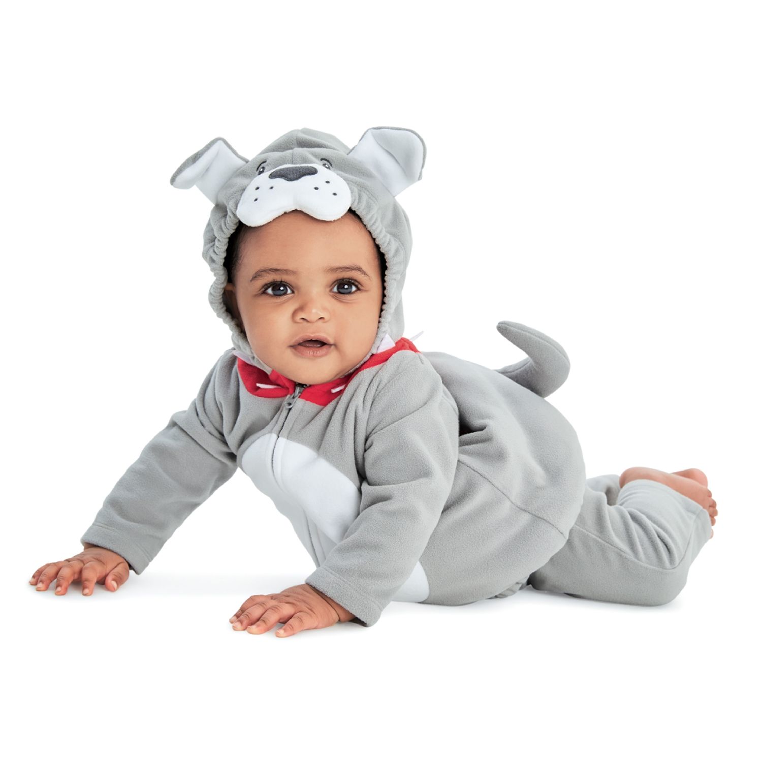 carters bulldog costume